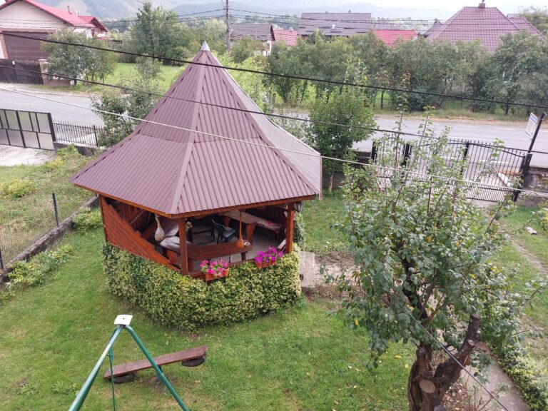 Vasile Militaru: povestea mea