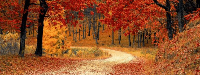 George Bacovia: Pastel