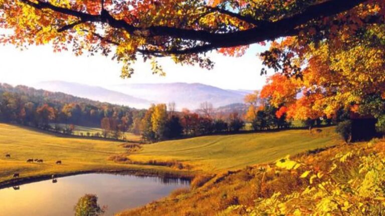 Vladimir Pustan: Sfârșit de vară